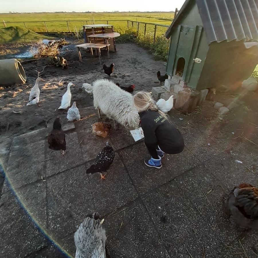 Chalet Weizicht Op Minicamping Hoogelande Grijpskerke Екстер'єр фото